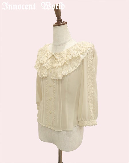 野に咲く薔薇のブラウス