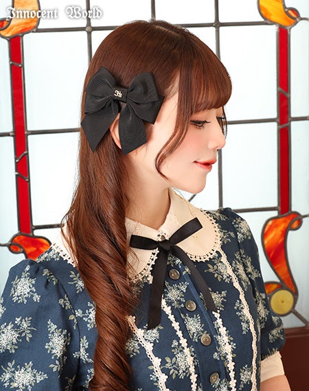 IWチャームのツインリボンクリップ