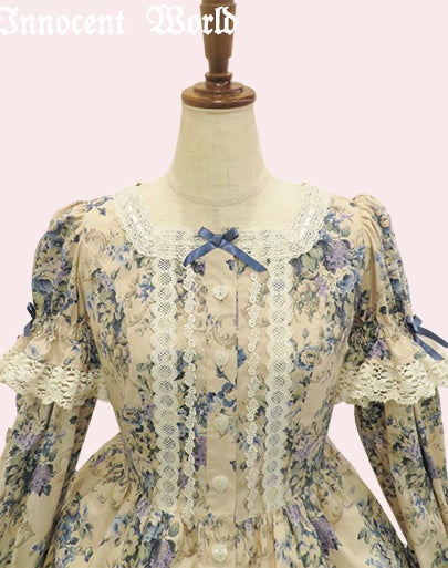 華麗な薔薇のロココドレス